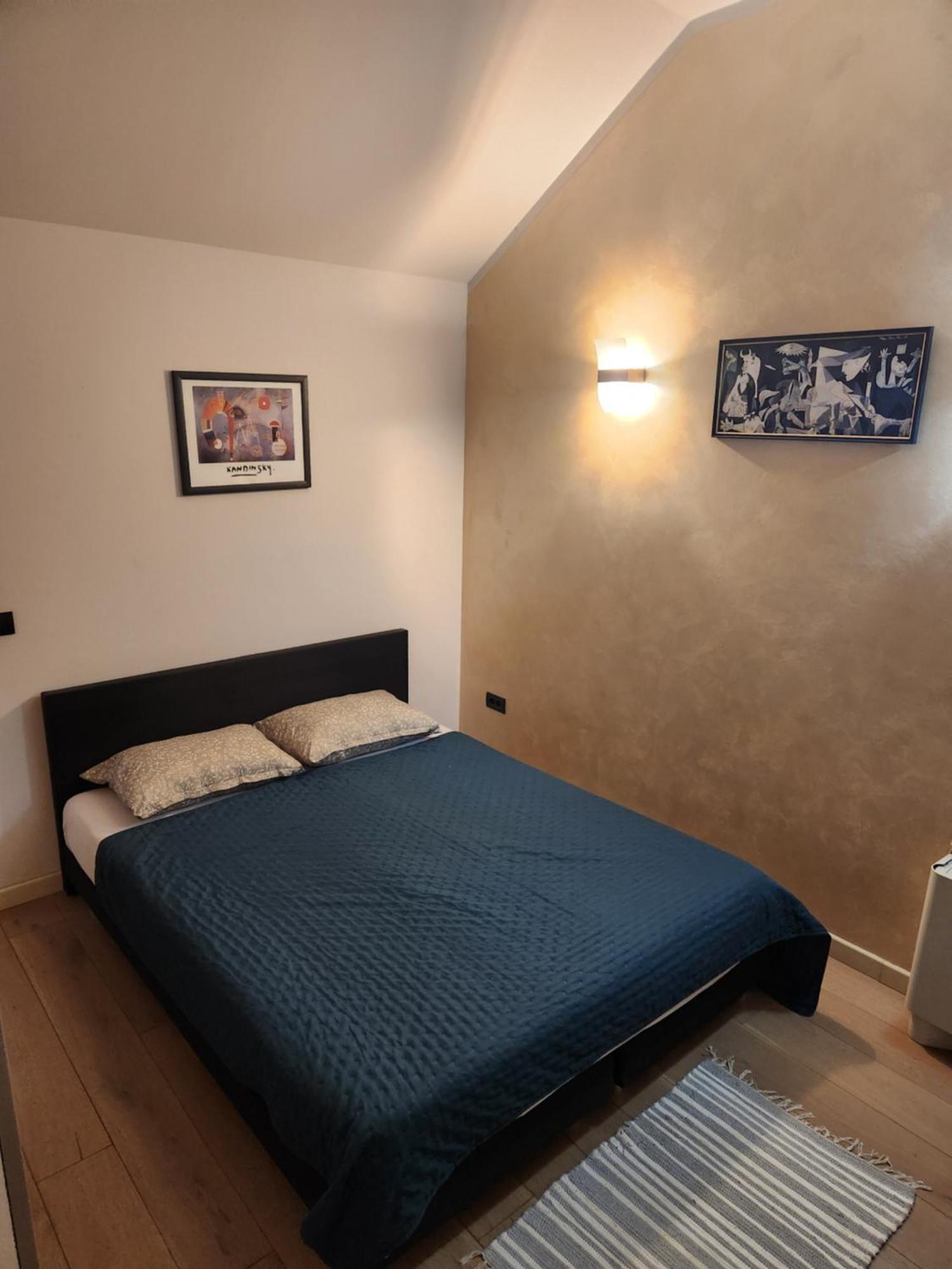 Central Terrace Escape With Jacuzzi Timisoara Exterior photo